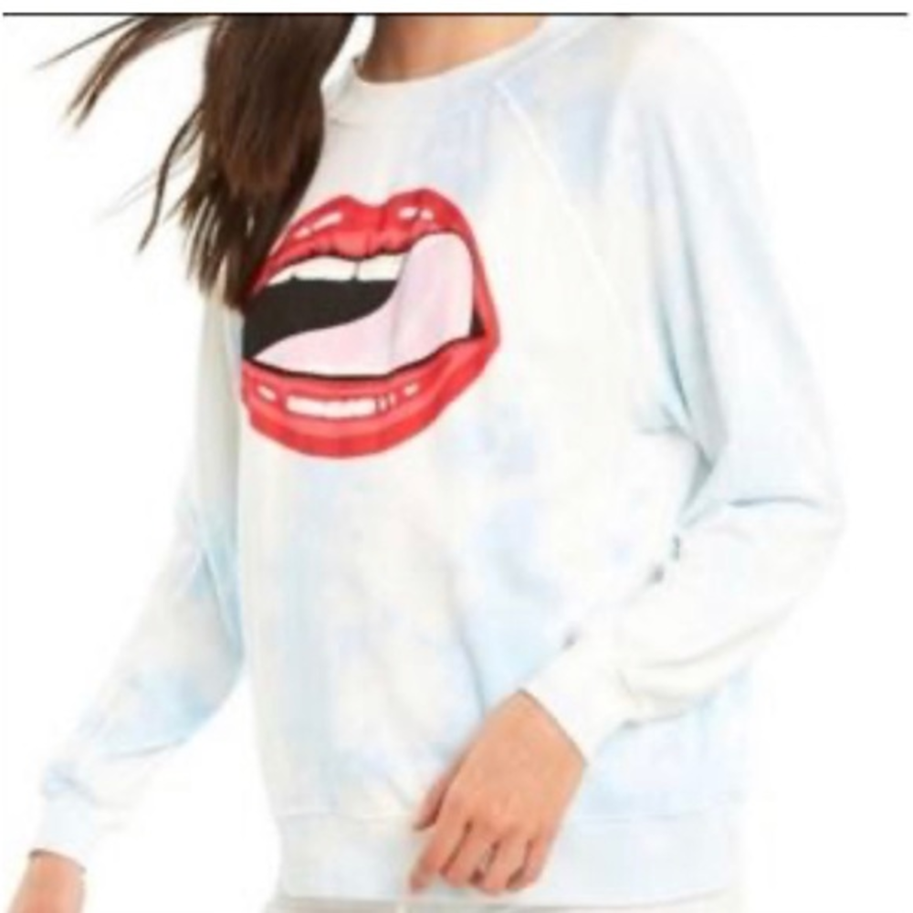 Wildfox femme fatal somers sweater oversized pullover‎